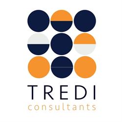 Tredi consultants