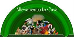 Allevamento La Cava