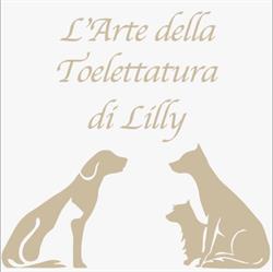 L'Arte della Toelettatura di Lilly