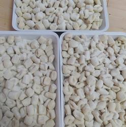 La Bontà della pasta fresca