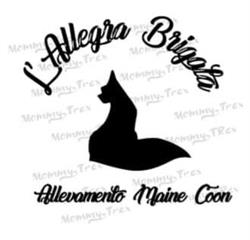 L'allegra brigata cattery maine coon