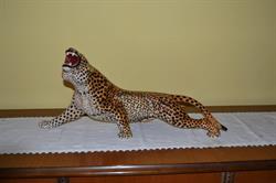 Il Leonpardo