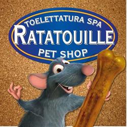 Toelettatura spa ratatouille pet shop Palermo