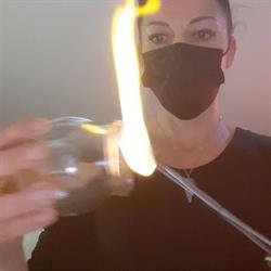 Olisticalaura