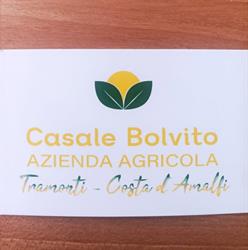 Azienda agricola casale bolvito