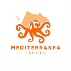 Mediterranea Ischia