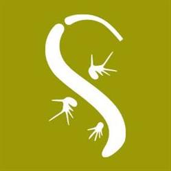 Suriglia Studio