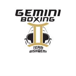ASD Gemini Boxing Team Bishqemi