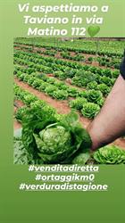 L'orto dietro casa