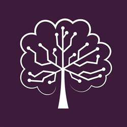 Treelink Studio