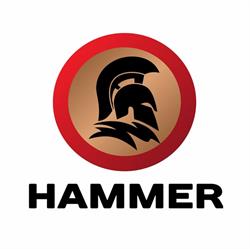 Hammer - Automative Implants