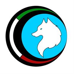 Loopus Italia