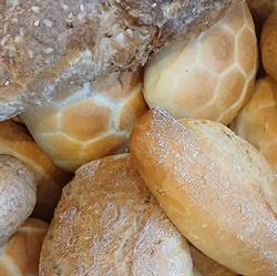Fior di pane