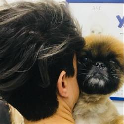 MI FIDO DI TE