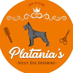 Platania's Sicily Dog Grooming