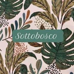 sottobosco.vaze