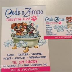 CODE E ZAMPE
