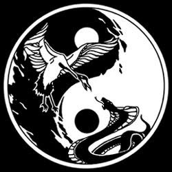 Wing chun Basement Cardano al Campo