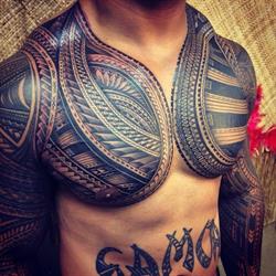 Pitbull tattoo studio supply