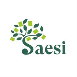 Saesi S.r.l.