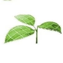 Agribioengineering