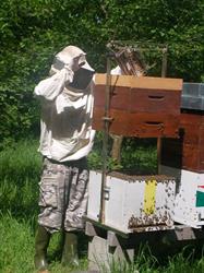 Apicoltura La Mellifera