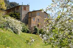 La Cappella