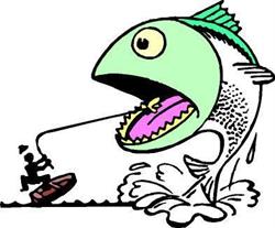 L'Arte della Pesca di Adinolfi di G. & M. Adinolfi snc