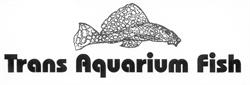 Trans Aquarium Fish