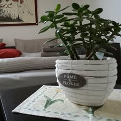 Comforty - Tourist apartment in Verona for your holidays