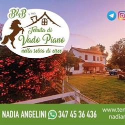 Tenuta di VADO PIANO