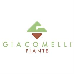 Giacomelli Piante