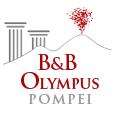 B&B Pompei Olympus