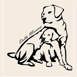 Labrador della Mianna