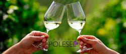 Cantina Polesel