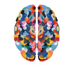 healthy_brain_institute