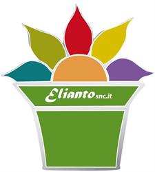 Elianto
