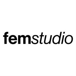 FEM Studio
