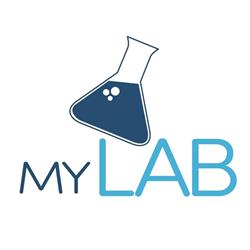 My Lab Experiment