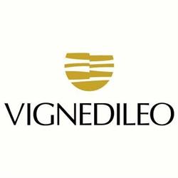Vignedileo