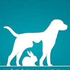 Centro Veterinario Avallone