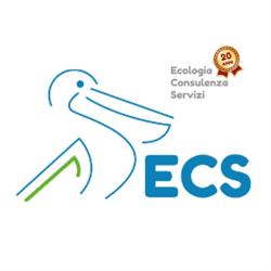 ECS srl