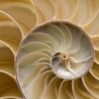 Dott.ssa Chiara Corsi Psicologa Psicoterapeuta