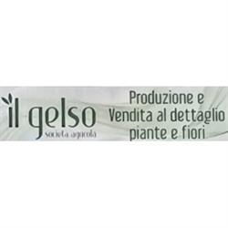 Società Agricola Il Gelso