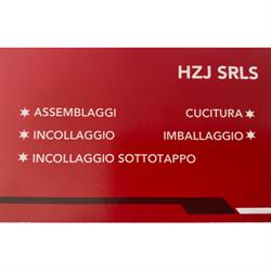 Hzj Srls