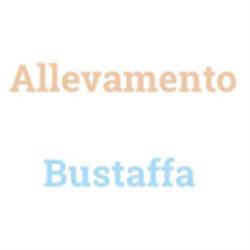 Allevamento Bustaffa