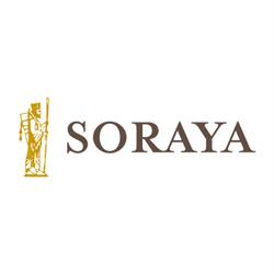 Soraya Tappeti Persiani di Noemi Nori