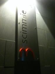 Bar 3 Scimmie