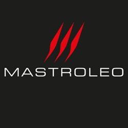 Mastroleo TRICASE - Auto NUOVE & USATE & NOLEGGIO Salento