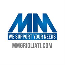 M. M. (s.r.l.)